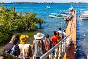 Wasini Island: Delfinspotting og snorkling ved Kisite Mpunguti