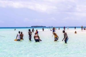 Wasini Island: Delfinspotting og snorkling ved Kisite Mpunguti