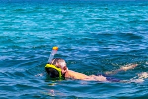 Wasini Island: Delfinspotting og snorkling ved Kisite Mpunguti