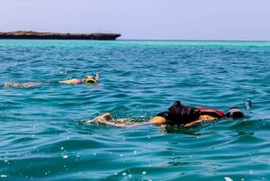 Wasini Island: Delfinspotting og snorkling ved Kisite Mpunguti