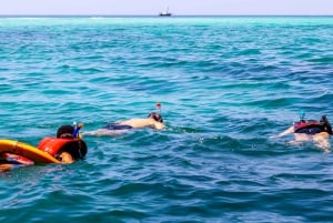 Wasini Island: Delfinspotting og snorkling ved Kisite Mpunguti