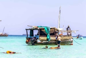 Wasini Island: Delfinspotting og snorkling ved Kisite Mpunguti