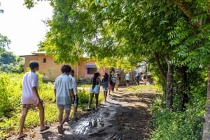 Wasini Island: Delfinspotting og snorkling ved Kisite Mpunguti