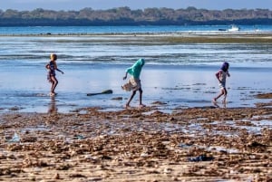 Diani : Île de Wasini, plongée en apnée et visite des grottes d'esclaves de Shimoni