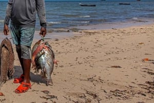 Diani : Île de Wasini, plongée en apnée et visite des grottes d'esclaves de Shimoni