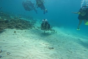 Diani : Île de Wasini, plongée en apnée et visite des grottes d'esclaves de Shimoni