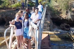 Mombasa: Snorkeling, Dolphin watching, seafood lunch.