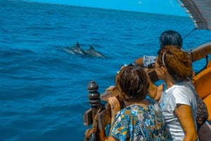Wasini: Excursión panorámica en barco con desayuno, almuerzo y snorkel