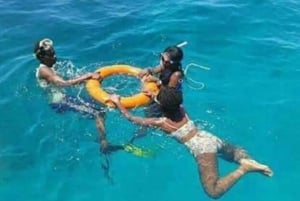 Wasini:, Schwimmen mit den Delfinen