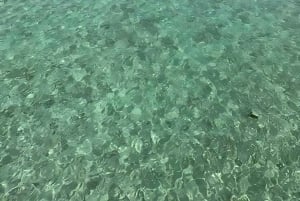 Watamu: Blue Snorkeling Safari, Mida Creek and lobsters on Sudi Island