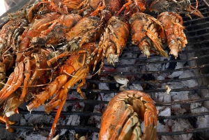 Watamu: Blue Snorkeling Safari, Mida Creek and lobsters on Sudi Island