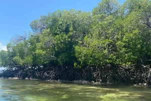 Watamu: Blue Snorkeling Safari, Mida Creek and lobsters on Sudi Island