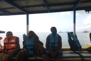 Watamu: Dolphin Watching and Snorkeling Boat Tour