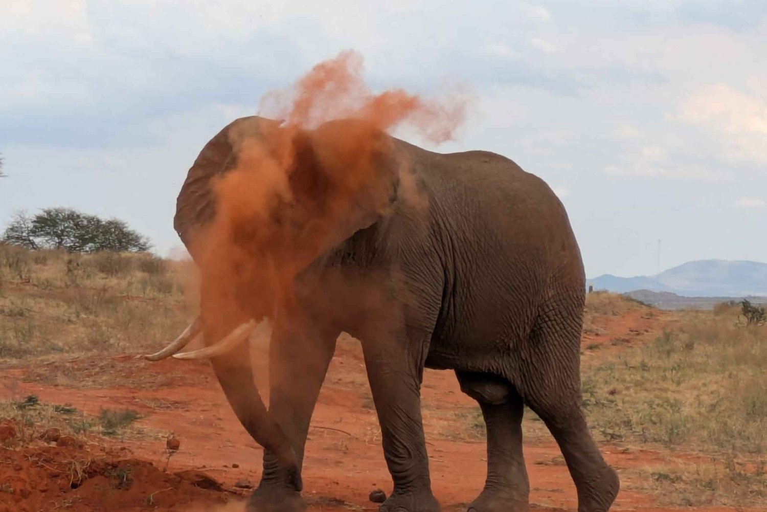 Watamu/Malindi: 2-Day Tsavo East Safari