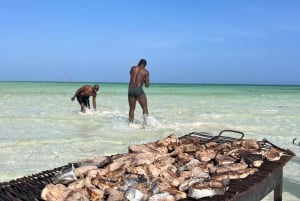 WATAMU: MALINDI: SARDEGNA ISLAND & MALINDI MARINE PARK