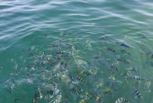 WATAMU: MALINDI: SARDEGNA ISLAND & MALINDI MARINE PARK