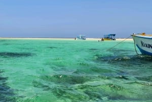 WATAMU: MALINDI: SARDEGNA ISLAND & MALINDI MARINE PARK