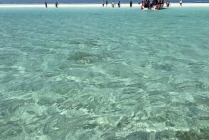 WATAMU: MALINDI: SARDEGNA ISLAND & MALINDI MARINE PARK