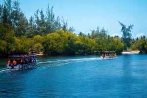 Watamu: Marine Park Snorkeling and Dolphin Spotting Tour