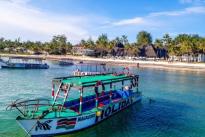 Watamu: Marine Park Snorkeling and Dolphin Spotting Tour