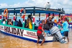 Watamu: Marine Park Snorkeling and Dolphin Spotting Tour
