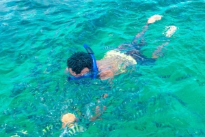 Watamu: Marine Park Snorkeling and Dolphin Spotting Tour