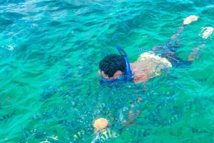 Watamu: Snorkelen in het zeepark en dolfijnen spotten