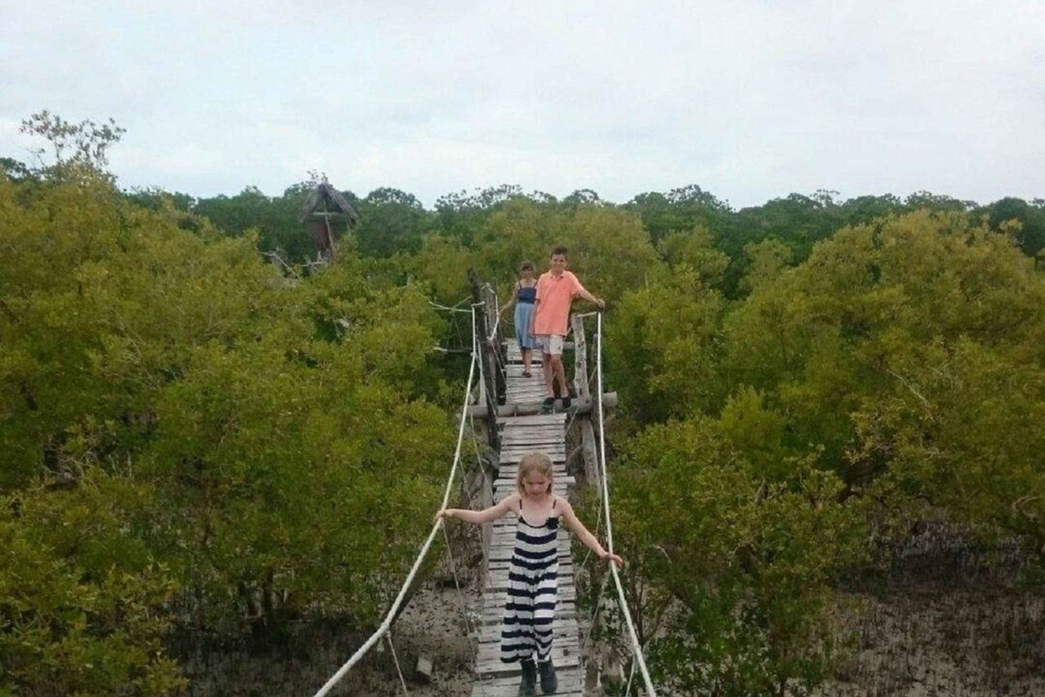 Watamu : visite de la mangrove et observation des oiseaux de Mida Creek avec tour en bateau