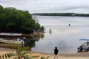 Watamu : visite de la mangrove et observation des oiseaux de Mida Creek avec tour en bateau