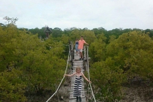 Watamu : visite de la mangrove et observation des oiseaux de Mida Creek avec tour en bateau