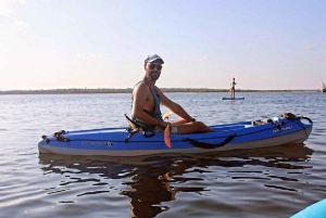 Watamu : visite de la mangrove et observation des oiseaux de Mida Creek avec tour en bateau