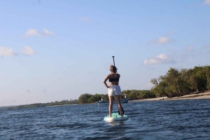 Watamu : visite de la mangrove et observation des oiseaux de Mida Creek avec tour en bateau