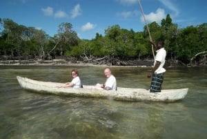 Watamu : visite de la mangrove et observation des oiseaux de Mida Creek avec tour en bateau