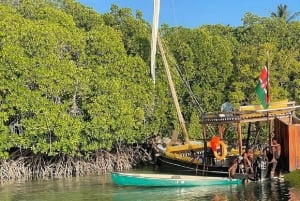 Watamu : visite de la mangrove et observation des oiseaux de Mida Creek avec tour en bateau