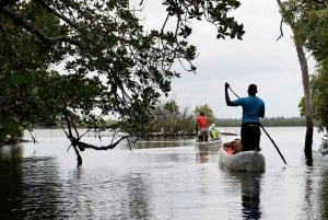 Watamu : visite de la mangrove et observation des oiseaux de Mida Creek avec tour en bateau