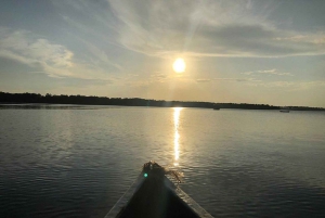 Watamu : visite de la mangrove et observation des oiseaux de Mida Creek avec tour en bateau