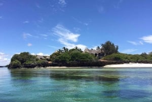 Watamu : visite de la mangrove et observation des oiseaux de Mida Creek avec tour en bateau