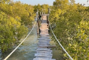 Watamu : visite de la mangrove et observation des oiseaux de Mida Creek avec tour en bateau
