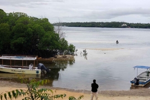 Watamu : visite de la mangrove et observation des oiseaux de Mida Creek avec tour en bateau