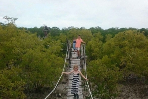 Watamu : visite de la mangrove et observation des oiseaux de Mida Creek avec tour en bateau