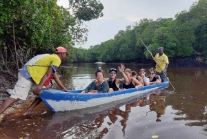 Watamu : visite de la mangrove et observation des oiseaux de Mida Creek avec tour en bateau