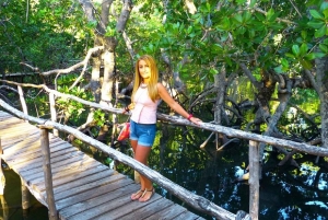 Watamu : visite de la mangrove et observation des oiseaux de Mida Creek avec tour en bateau
