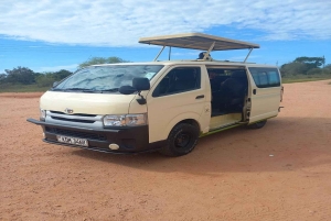 Watamu eller Malindi: Tsavo East nasjonalpark – heldagssafari