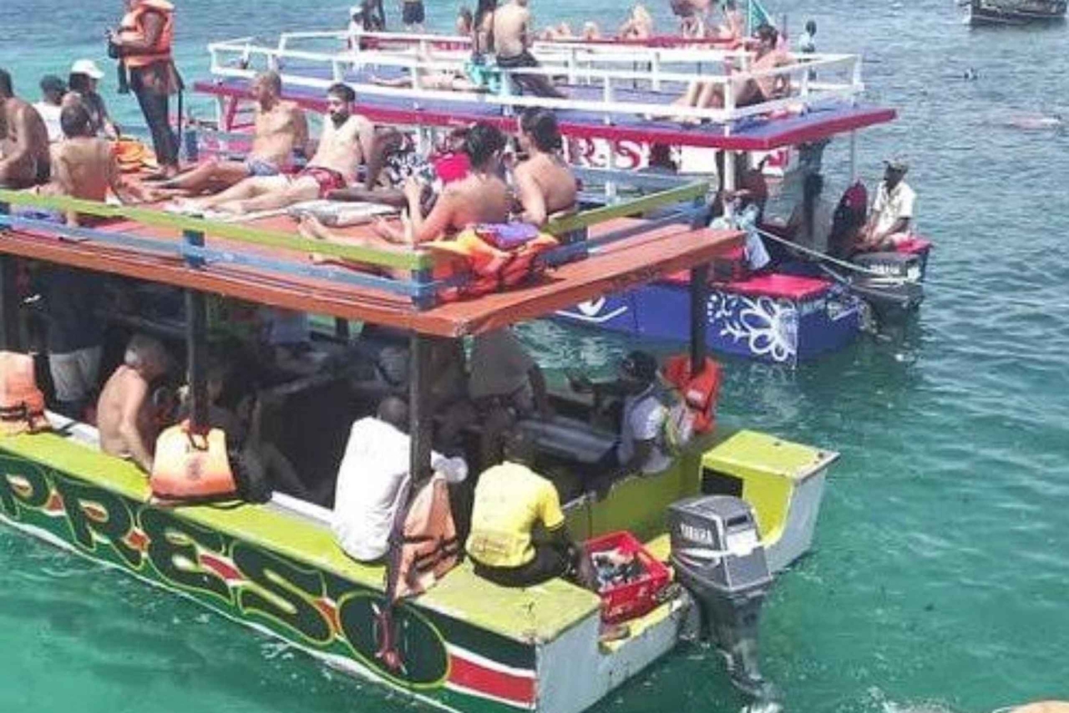 WATAMU, plongée en apnée/observation des dauphins, fruits de mer, croisière sur la crique de Mida