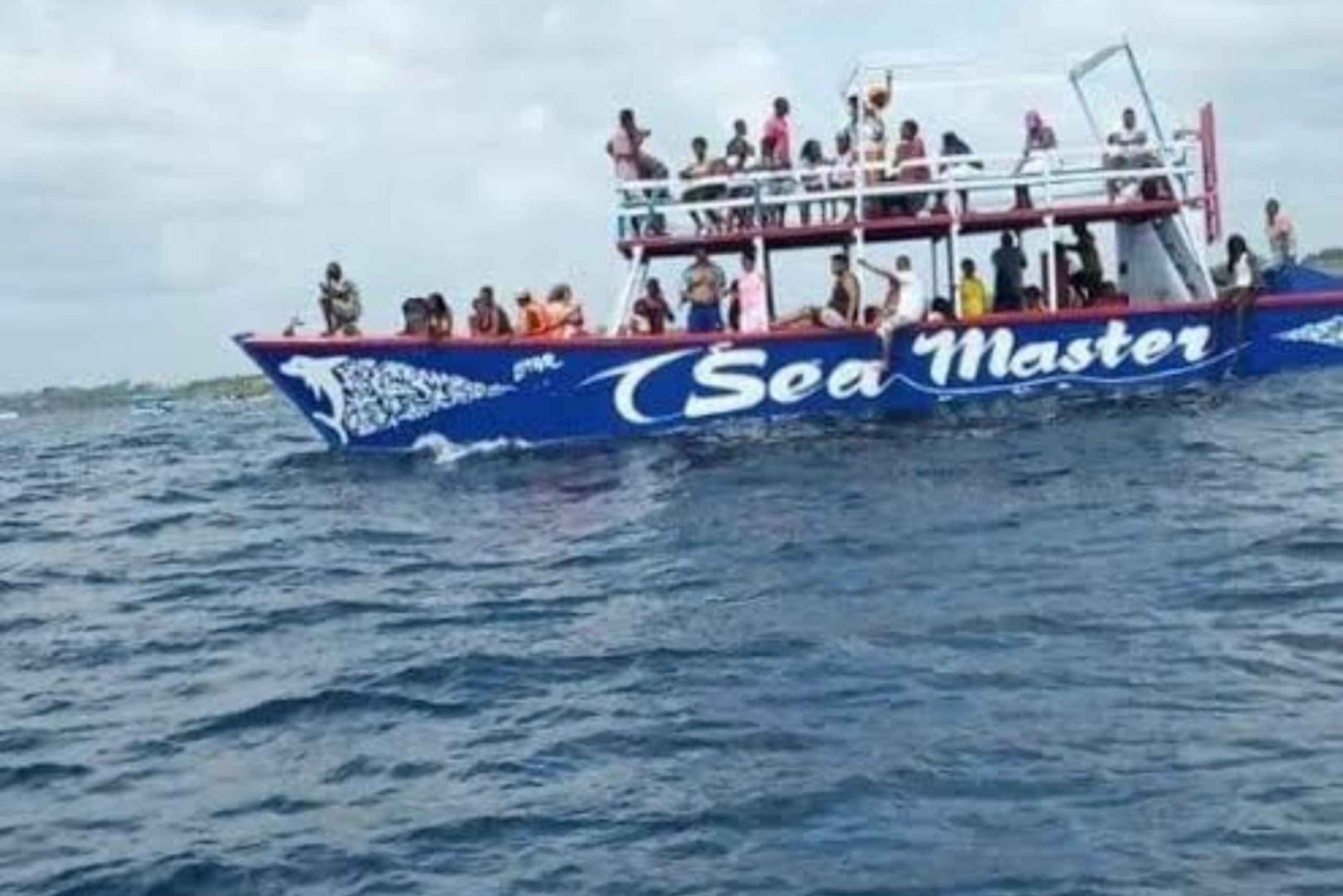 WATAMU, plongée en apnée/observation des dauphins, fruits de mer, croisière sur la crique de Mida