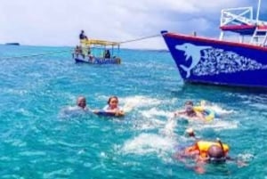 WATAMU,Snorkeling/dolphin spotting,seafood,mida creek cruise