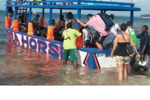 WATAMU, plongée en apnée/observation des dauphins, fruits de mer, croisière sur la crique de Mida