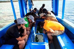 WATAMU, plongée en apnée/observation des dauphins, fruits de mer, croisière sur la crique de Mida
