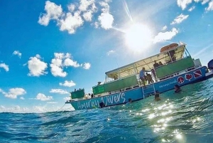 WATAMU, plongée en apnée/observation des dauphins, fruits de mer, croisière sur la crique de Mida