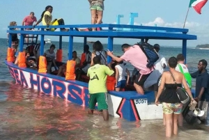 WATAMU, plongée en apnée/observation des dauphins, fruits de mer, croisière sur la crique de Mida
